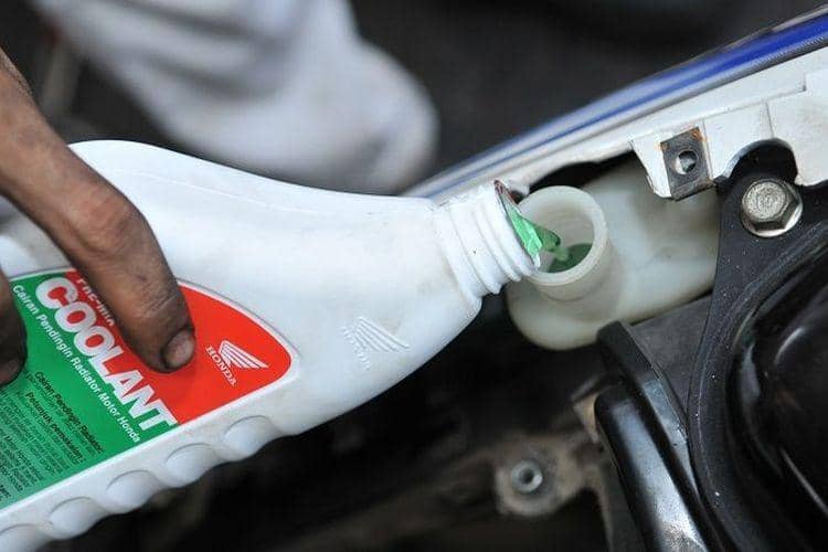 WhatsApp Image 2026-02-14 at 15.41.55.jpeg