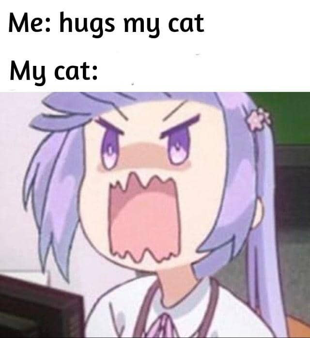 meme anime tentang pelukan