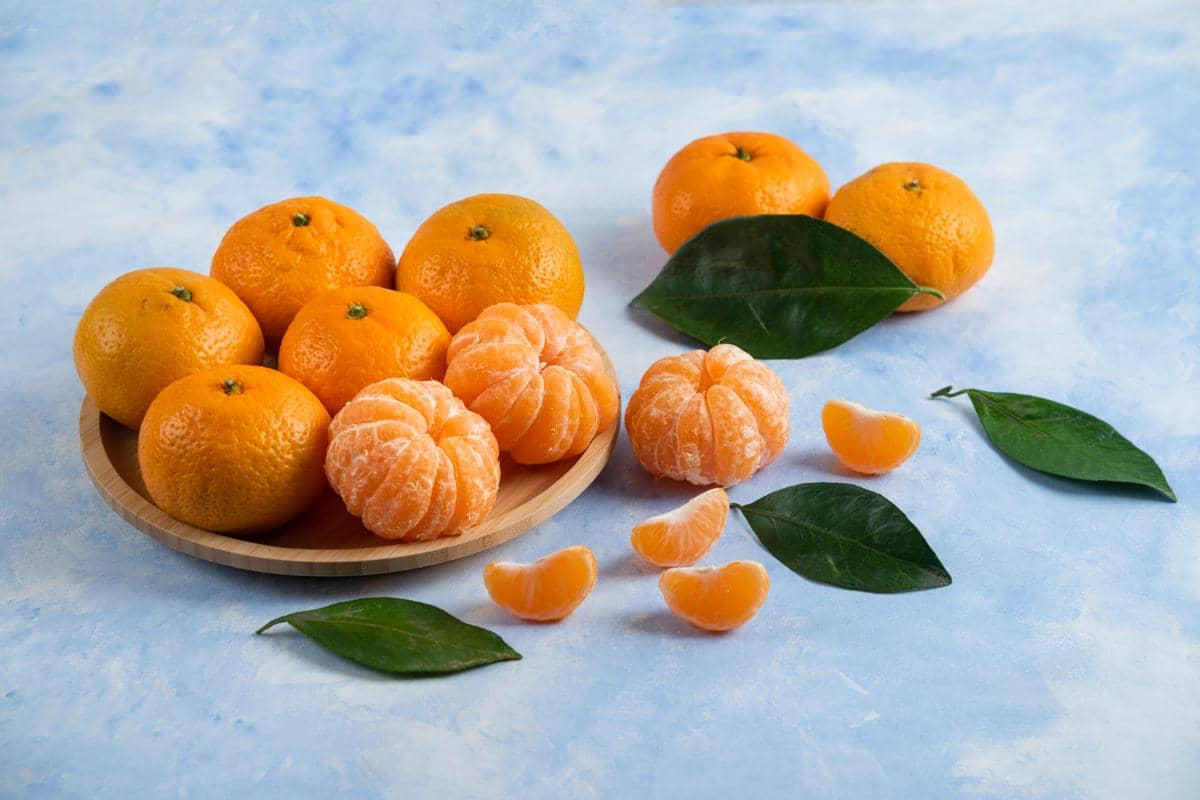 ilustrasi jeruk mandarin