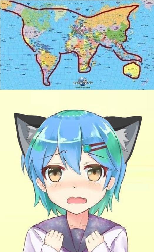 meme anime telinga hewan