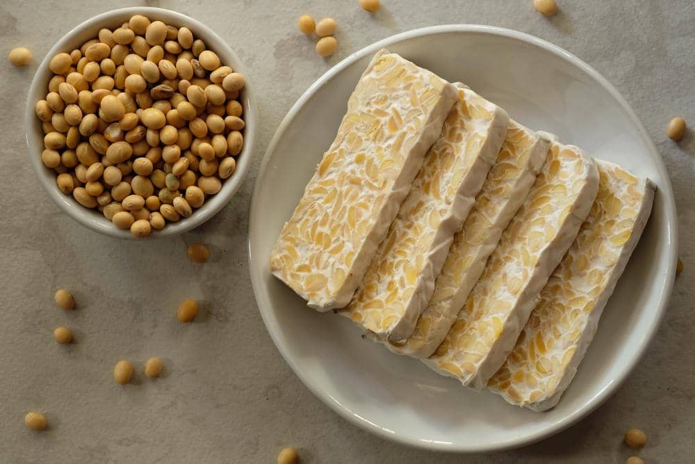 Fermentasi pada tempe kedelai