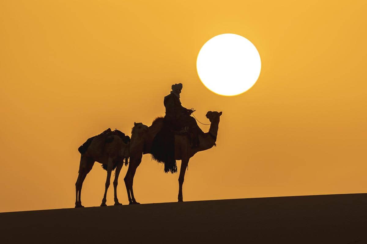 Ilustrasi siluet orang yang menunggang unta