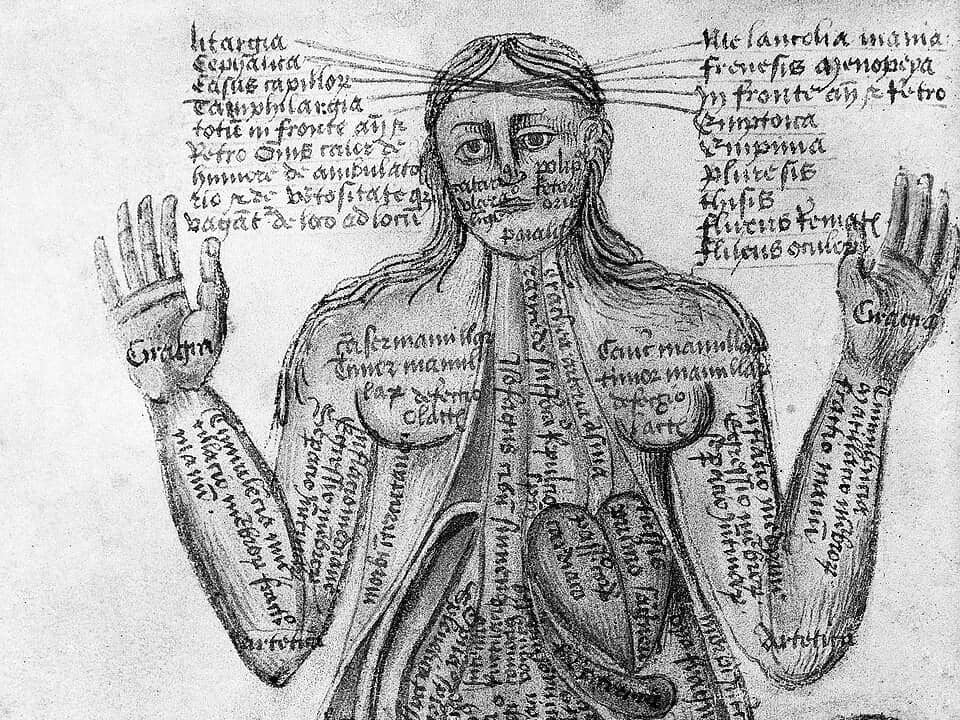 Ilustrasi anatomi dari Galen