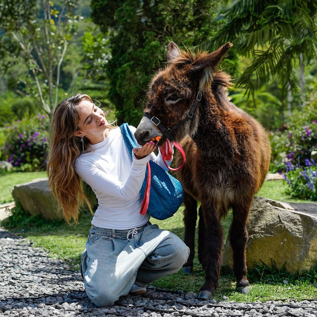 Bali Farm House (instagram.com/balifarmhouseofficial)