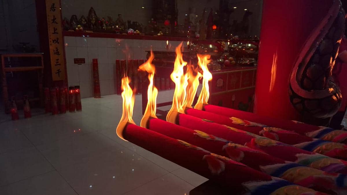 WhatsApp Image 2026-02-17 at 04.14.19.jpeg