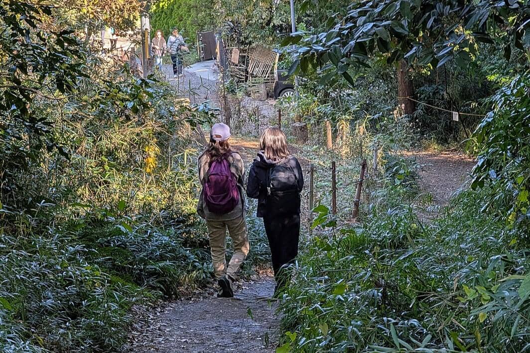 5 Jalur Hiking di Kamakura Jepang untuk Pemula