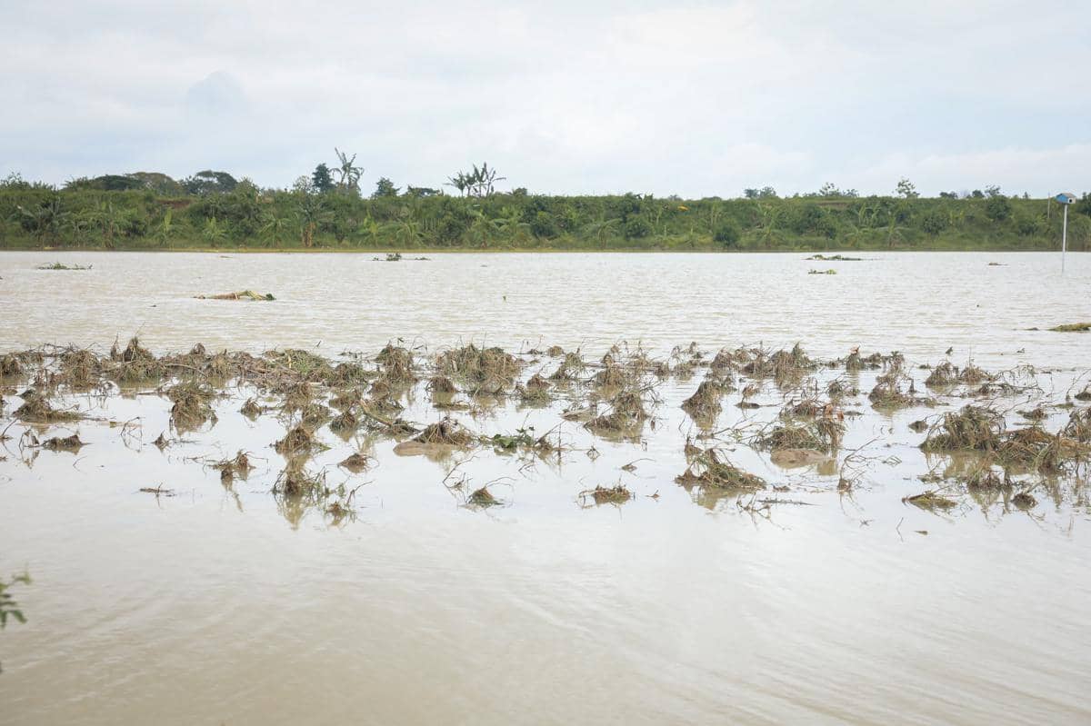 Banjir yang melanda Desa Tinanding, Kecamatan Godong, Kabupaten Grobogan, Selasa (17/2/2026). (Dok. Pemprov Jateng)