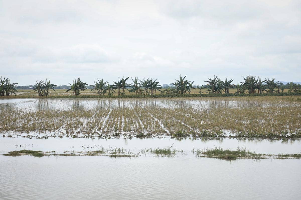 Banjir yang melanda Desa Tinanding, Kecamatan Godong, Kabupaten Grobogan, Selasa (17/2/2026). (Dok. Pemprov Jateng)
