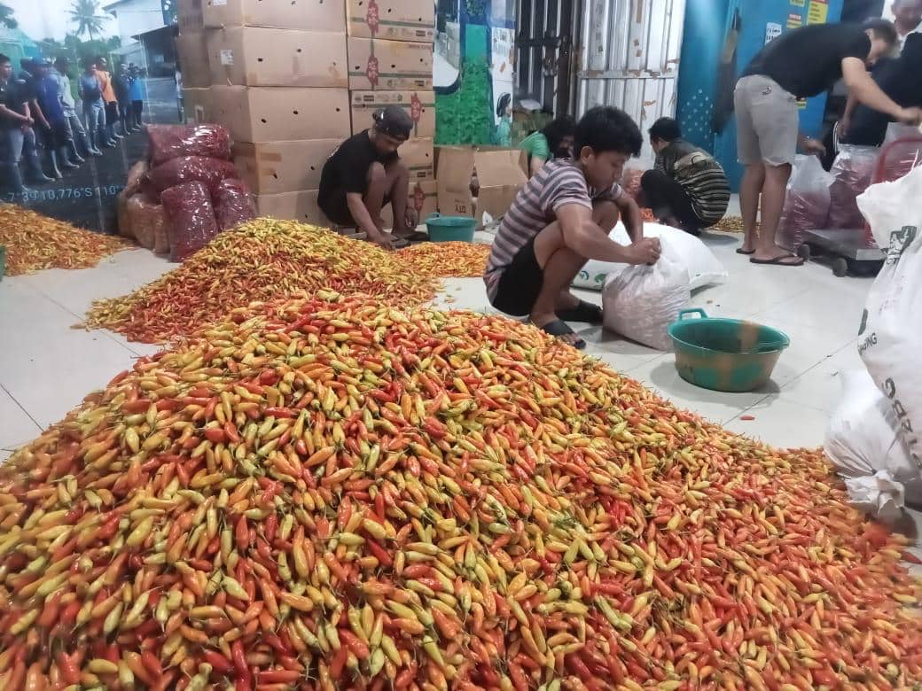 Bapanas Klaim Harga Cabai Turun, Ini Fakta Menurut Info Pangan Jakarta
