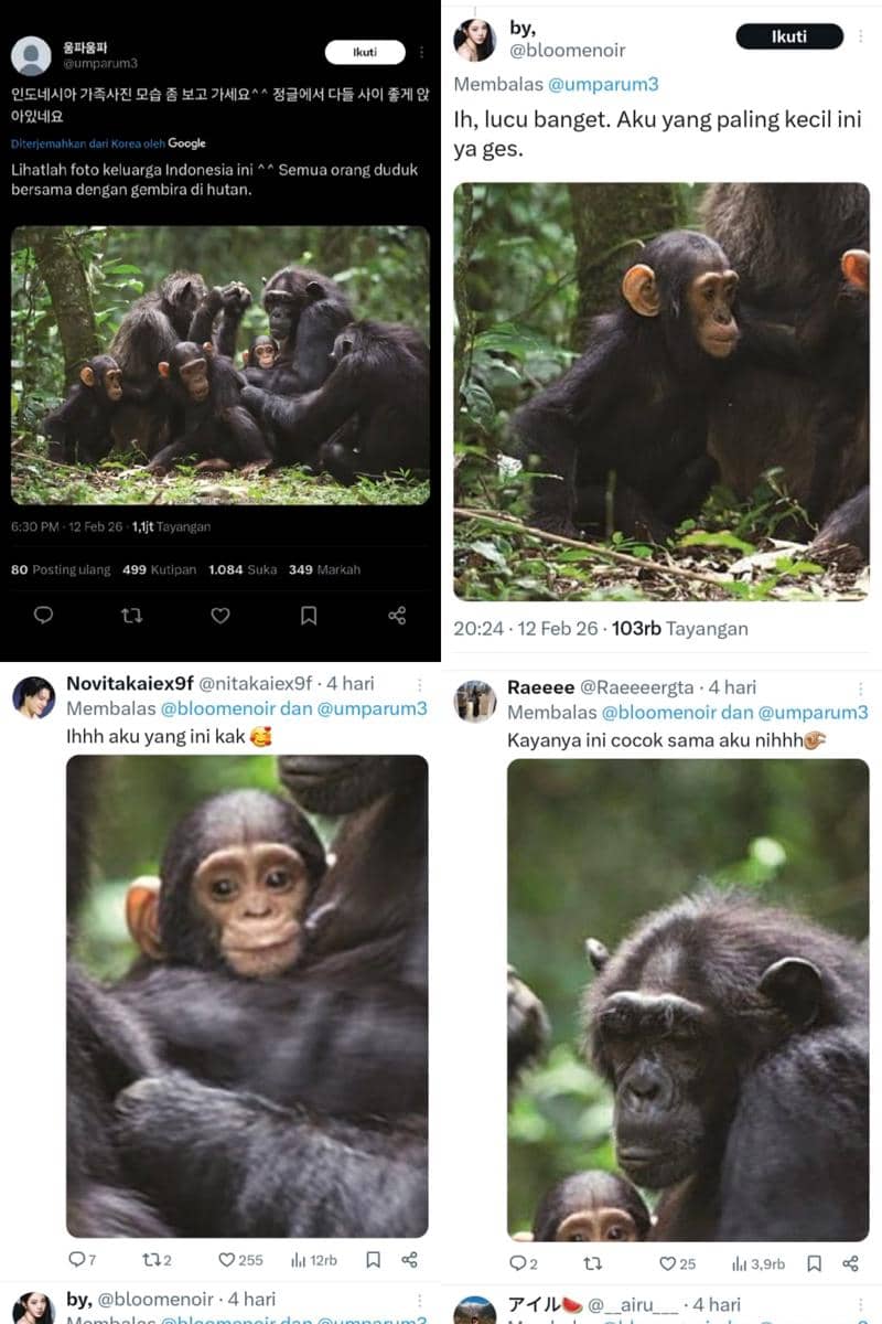 Komen asbun netizen Indonesia di kisruh #SEAblings vs #Knetz