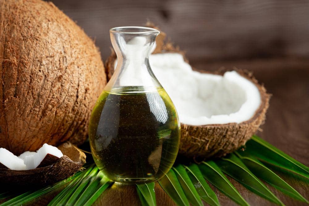 Ilustrasi botol minyak kelapa bening, kelapa utuh dan belahan kelapa dengan daun hijau di atas latar putih