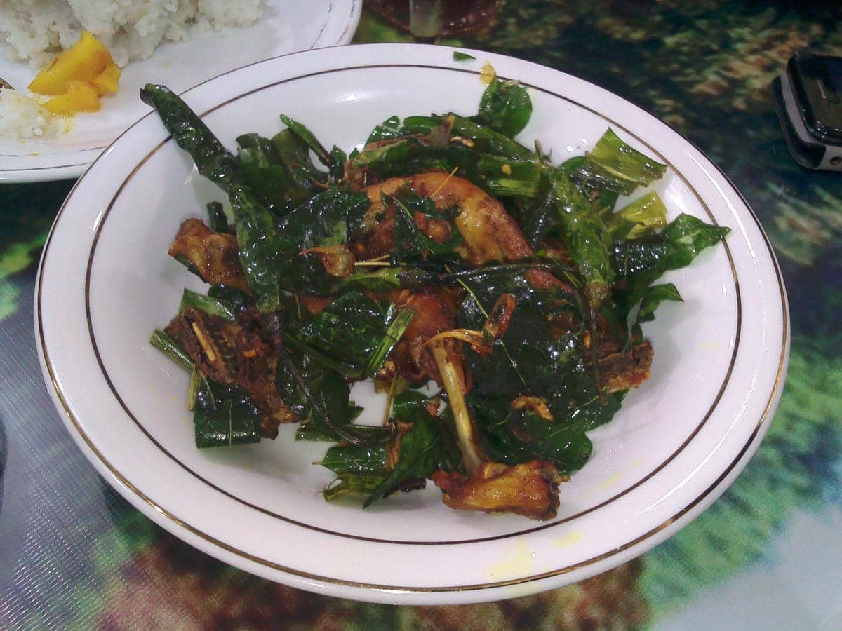 Ayam tangkap