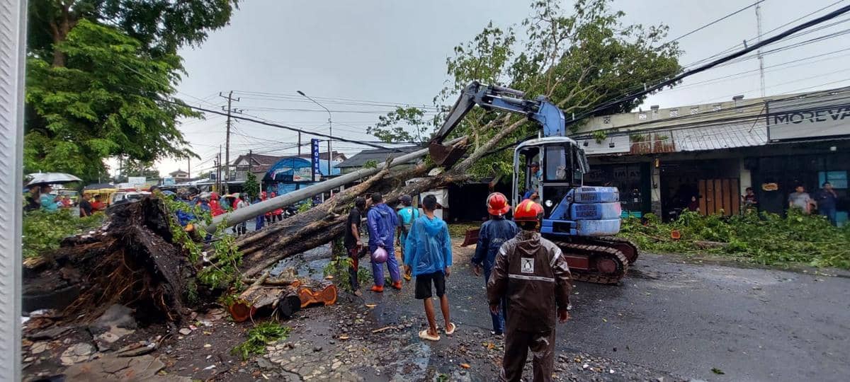 Pohon tumbang melintang di jalan dan menimpa rumah warga (Dok. Polres Bantul)