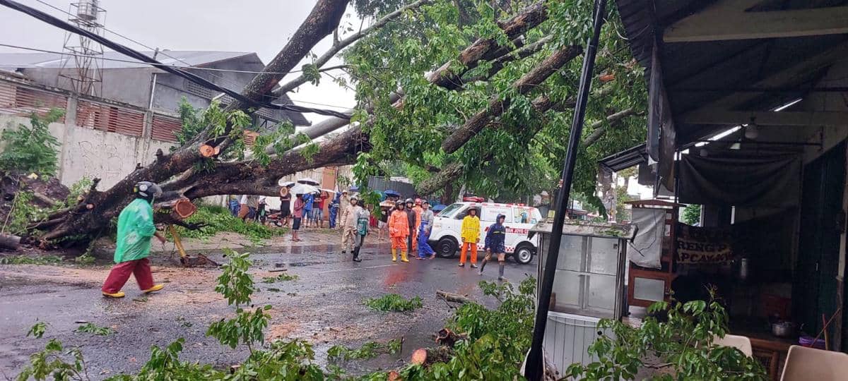 Pohon tumbang melintang di jalan dan menimpa rumah warga (Dok. Polres Bantul)