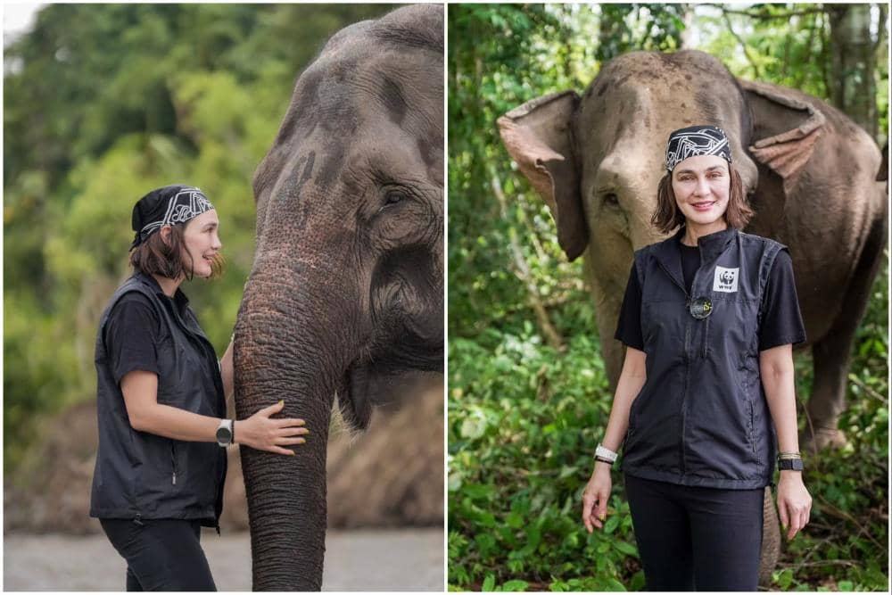 Luna Maya main bareng gajah di Kabupaten Bireuen
