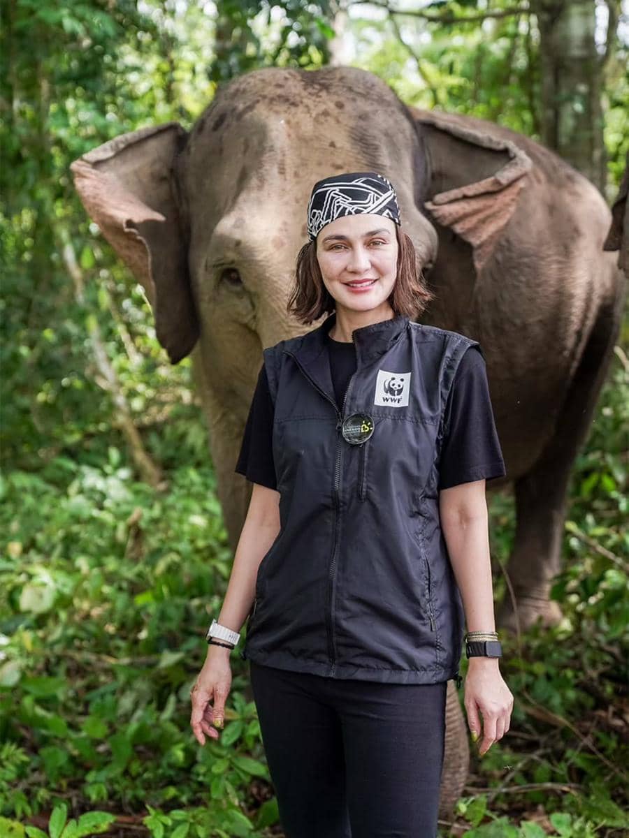 Luna Maya main bareng gajah di Kabupaten Bireuen