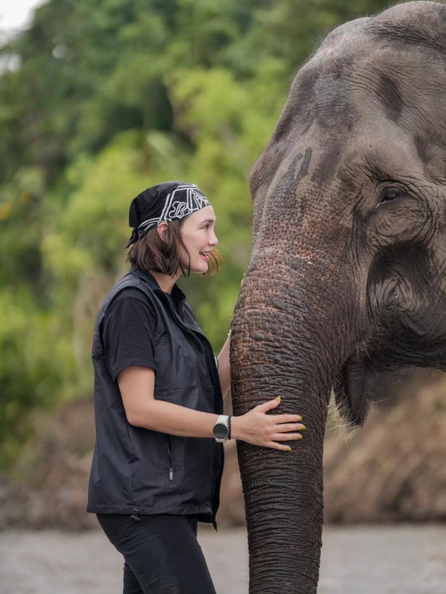 Luna Maya main bareng gajah di Kabupaten Bireuen