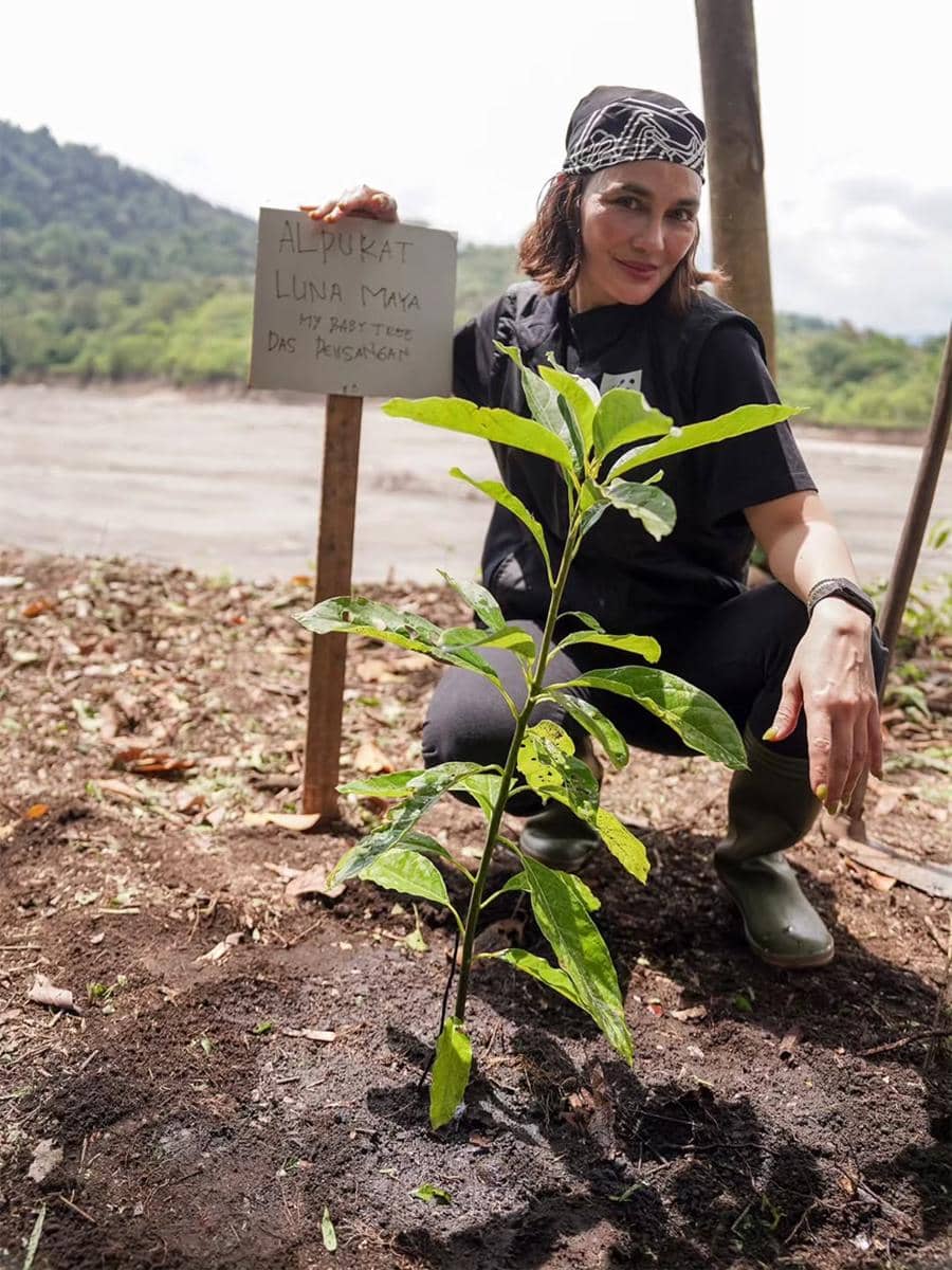 Luna Maya main bareng gajah di Kabupaten Bireuen