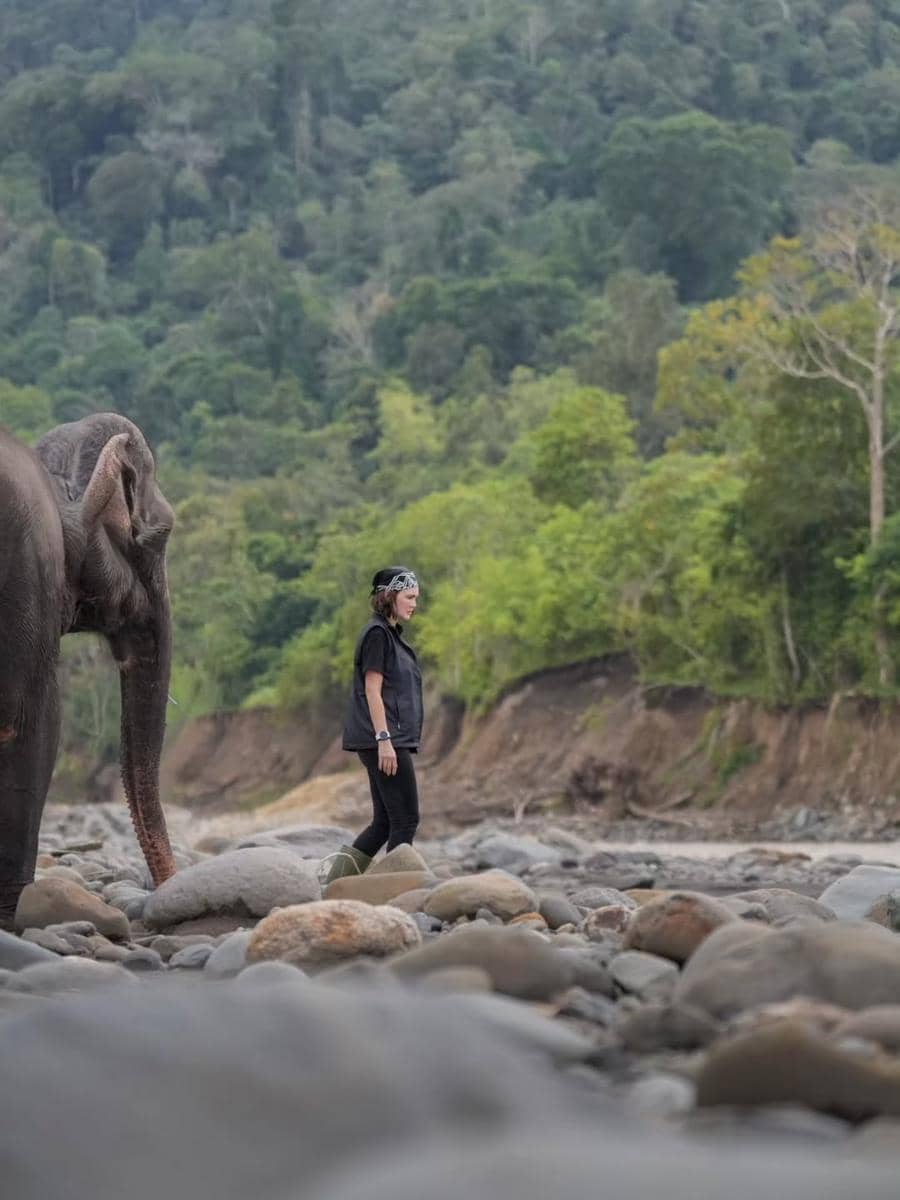 Luna Maya main bareng gajah di Kabupaten Bireuen