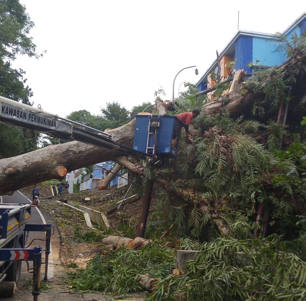 Pohon tumbang, baliho ambruk, bencana semarang