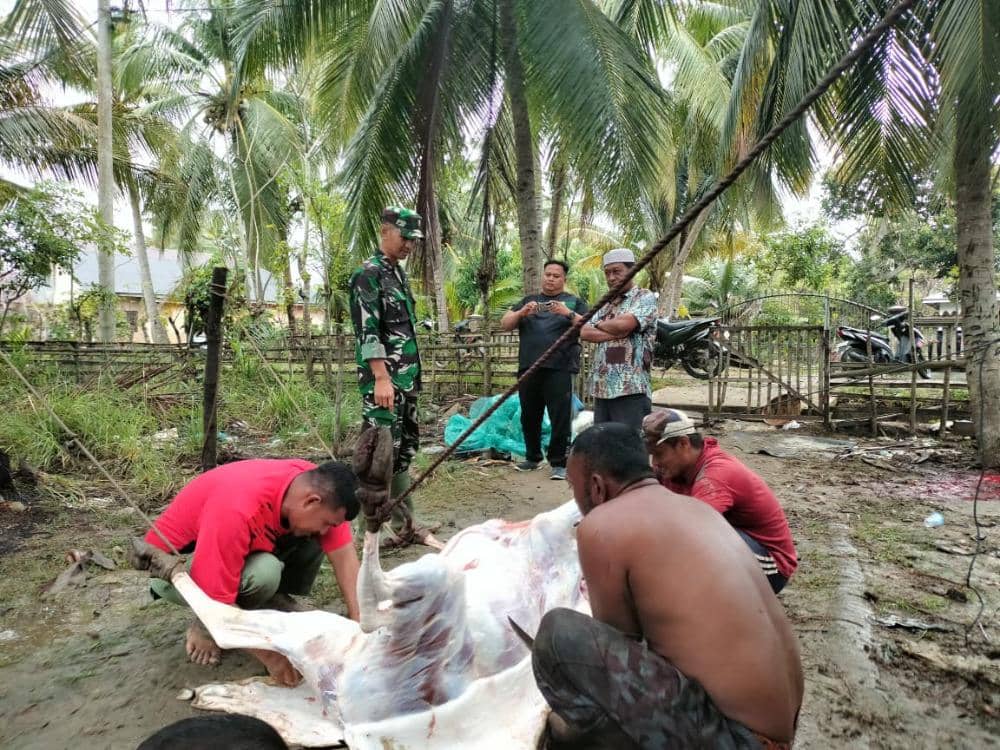 Bantuan daging sapi Presiden untuk warga Aceh Utara yang sedang dalam pemulihan bencana untuk tradisi meugang Ramadan (dok.Diskominfosa Aceh Utara)