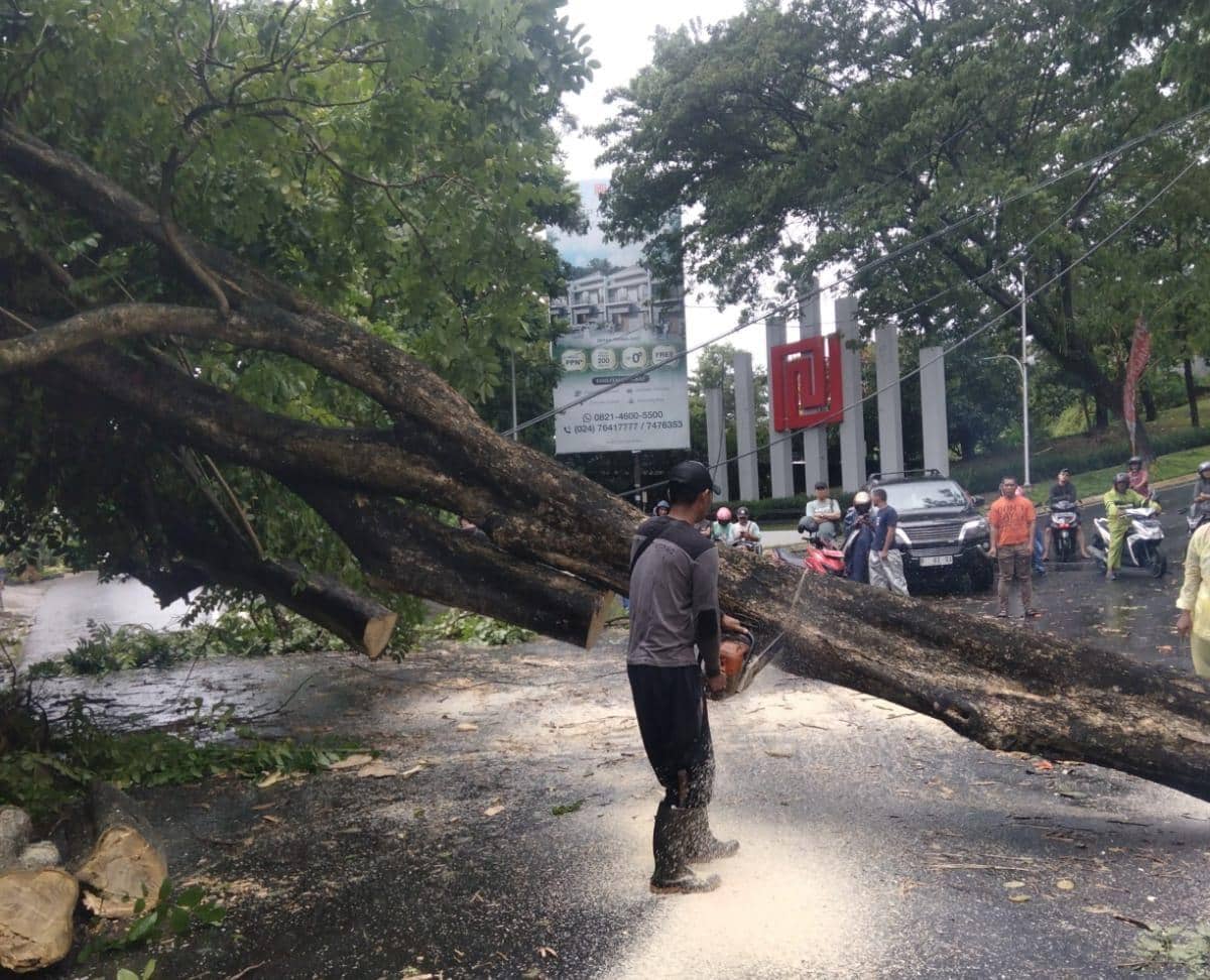 Pohon tumbang, baliho ambruk, bencana semarang