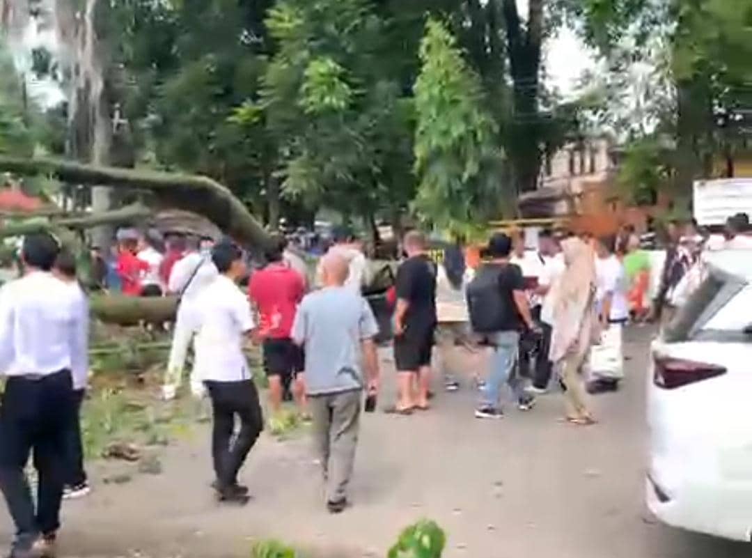 Pohon tumbang di Kamboja Palembang
