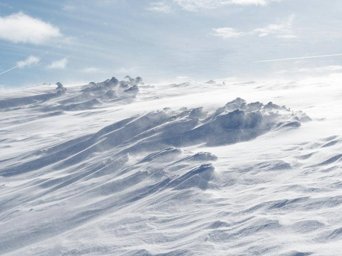 Longsor Salju di California, 9 Pemain Ski Hilang dan 6 Selamat