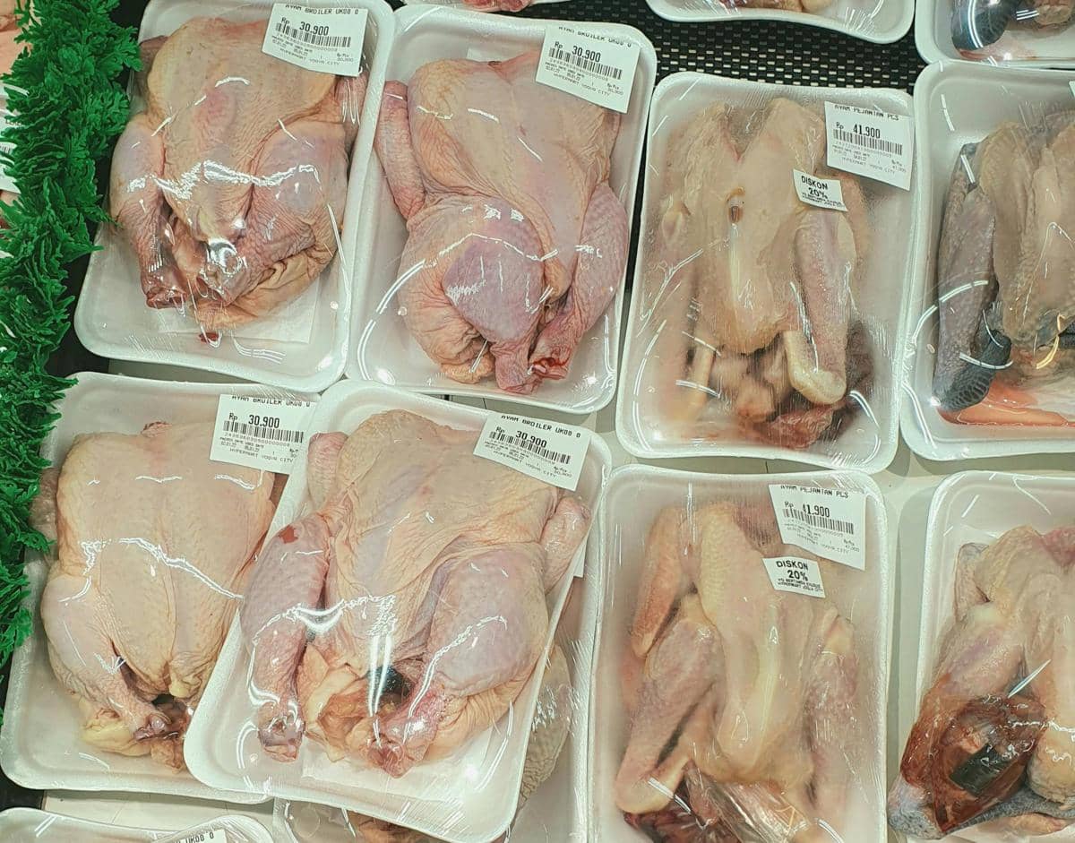 ilustrasi ayam mentah