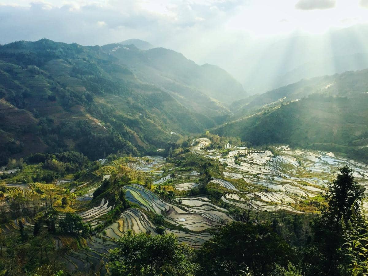 Yuanyang Rice Terraces