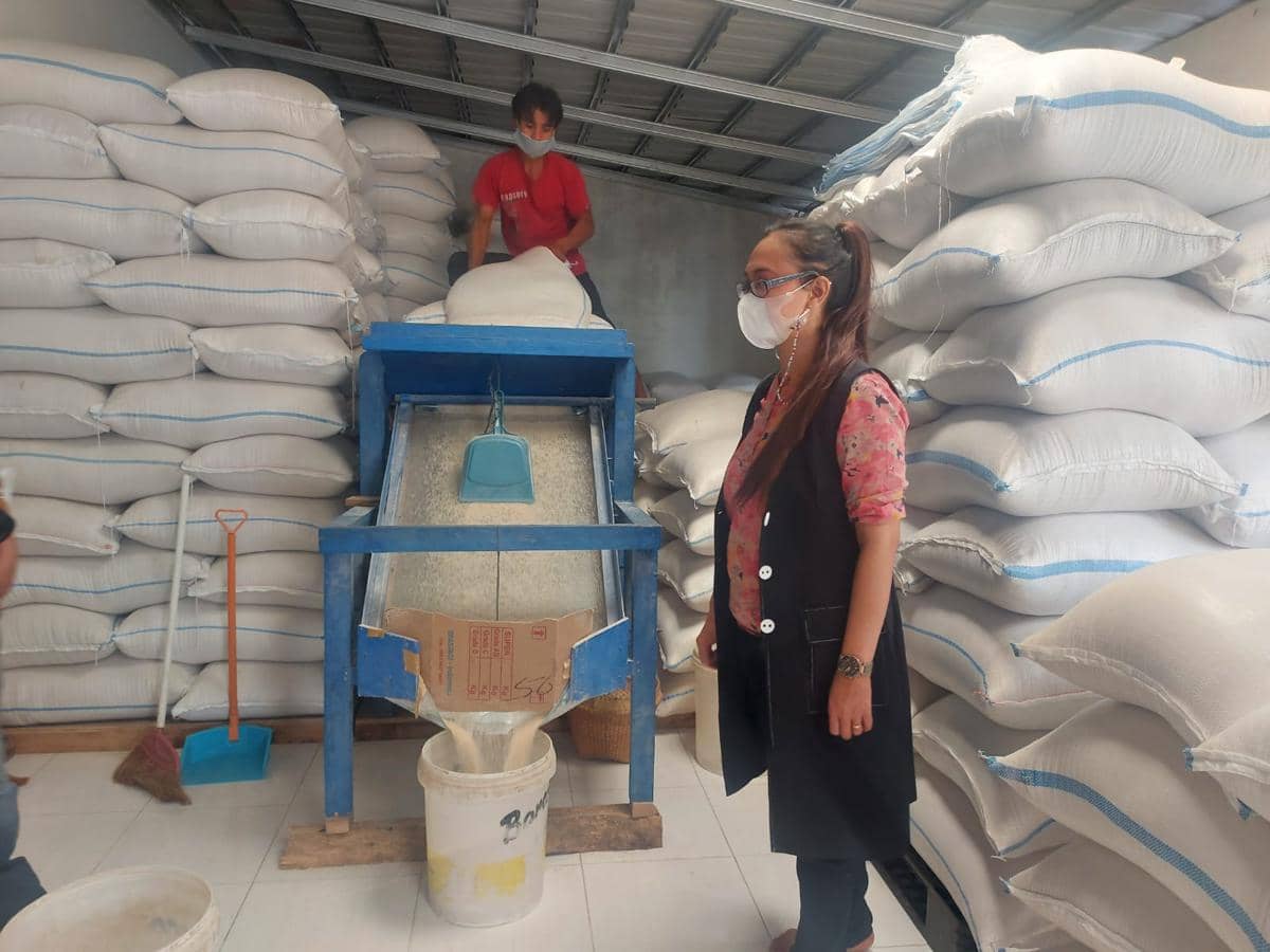 Tim Pendampingan Unnes memantau produksi beras organik di lokasi Gapoktan Ngudi Makmur Magelang. (IDN Times/Fariz Fardianto)