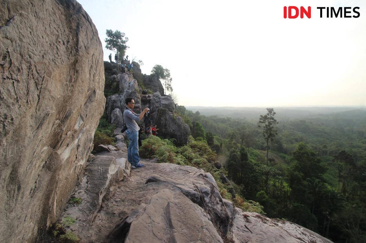 IKN Bangun Koridor Satwa, 65 Persen Kawasan Tetap Hutan
