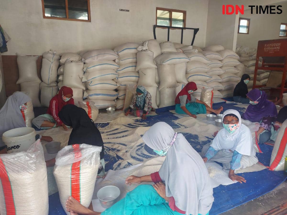 Unnes Rangkul Gapoktan Ngudi Makmur Demi Memacu Produksi Beras Organik
