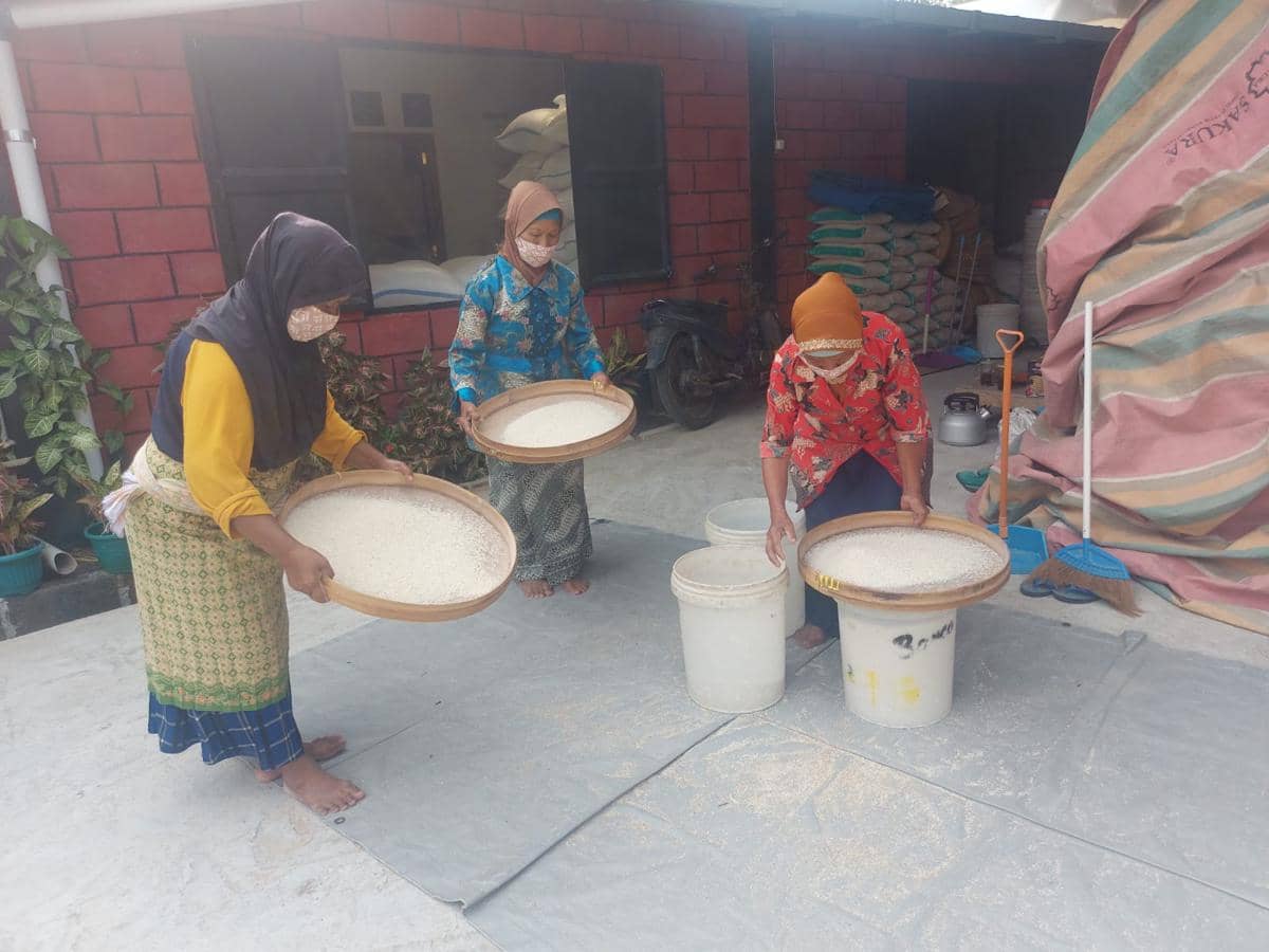 Biotrop Ungkap Beras Lebih 4 Bulan Tak Layak Makan