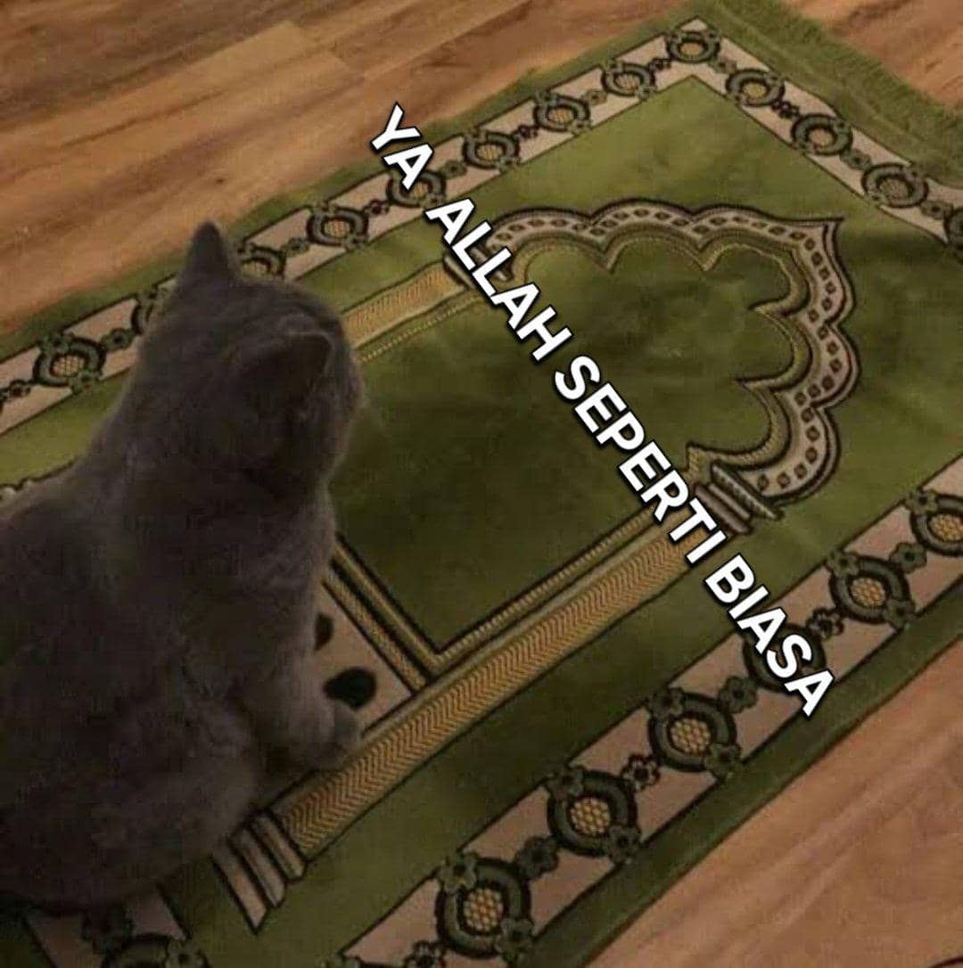 meme kucing Ramadan