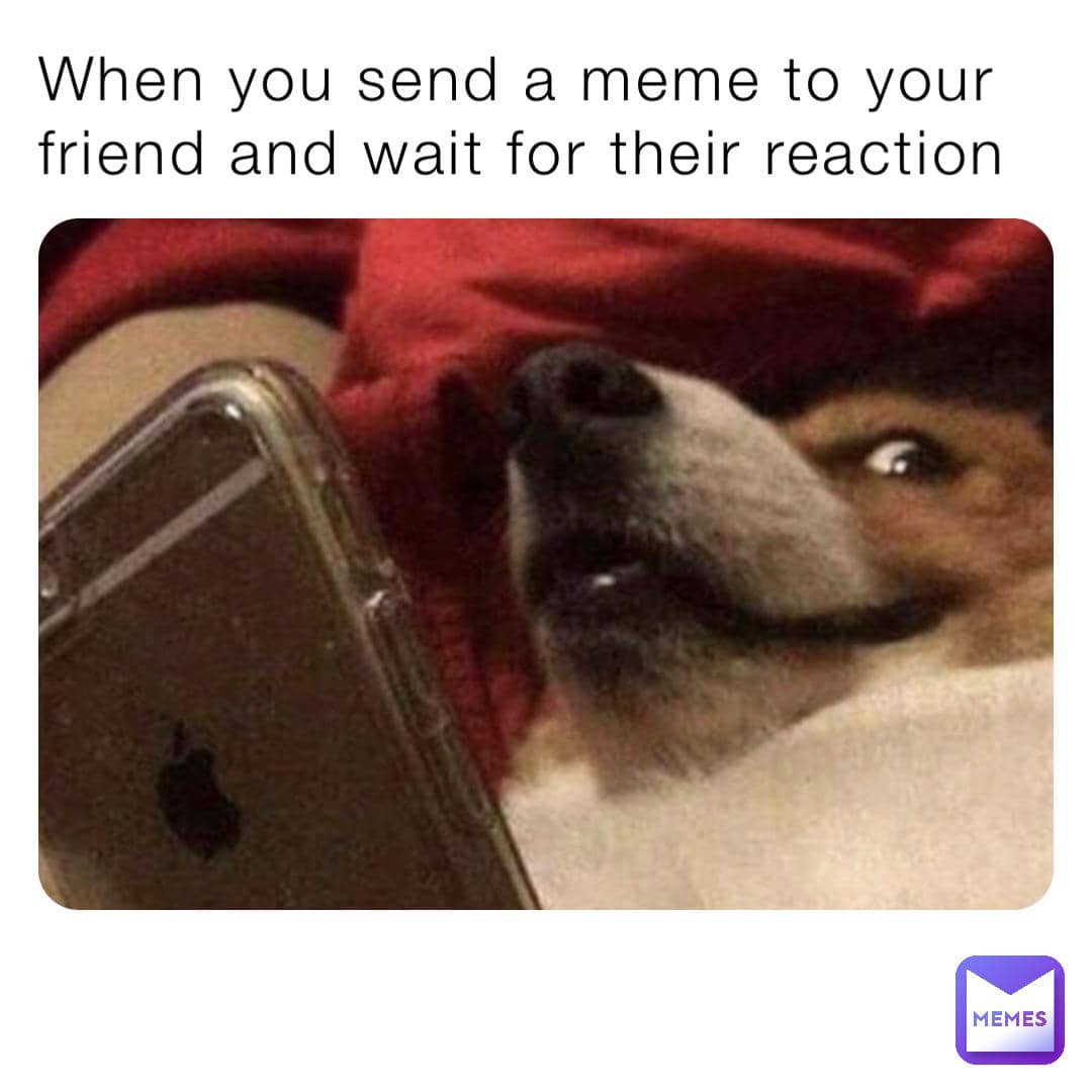 meme teman hobi kirim meme 