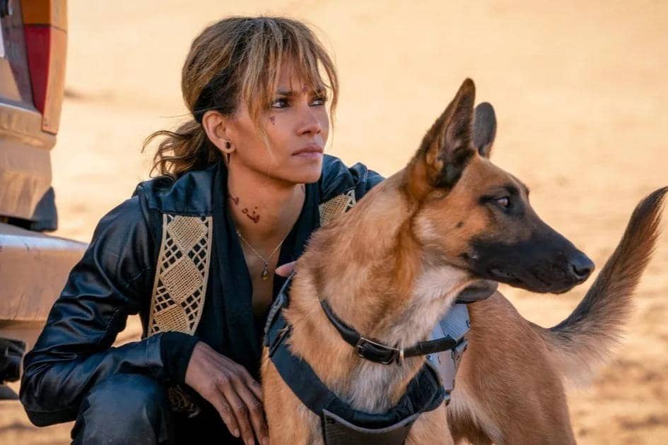 Halle Berry dalam film John Wick: Chapter 3 – Parabellum