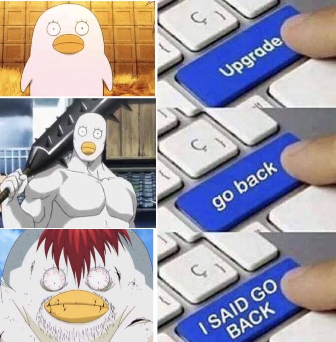 meme Elizabeth dari Gintama