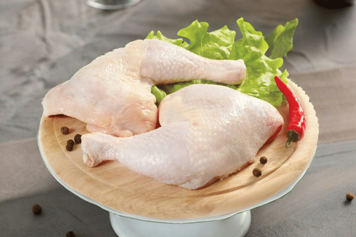 ilustrasi ayam