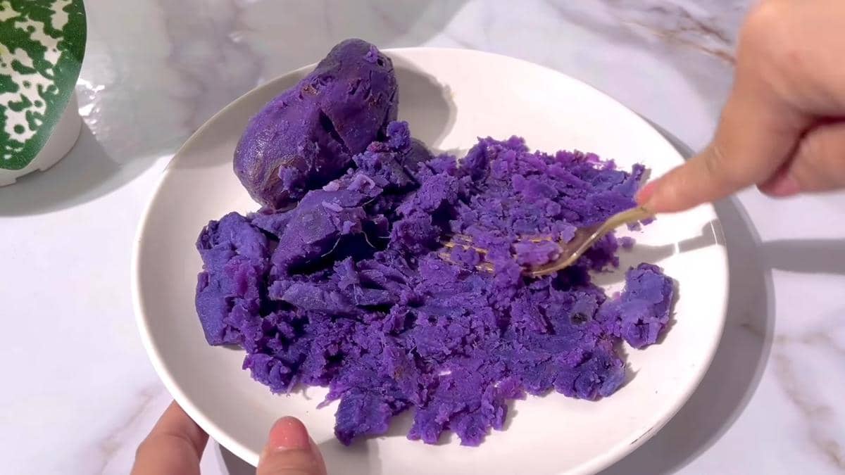 ilustrasi melumat ubi ungu