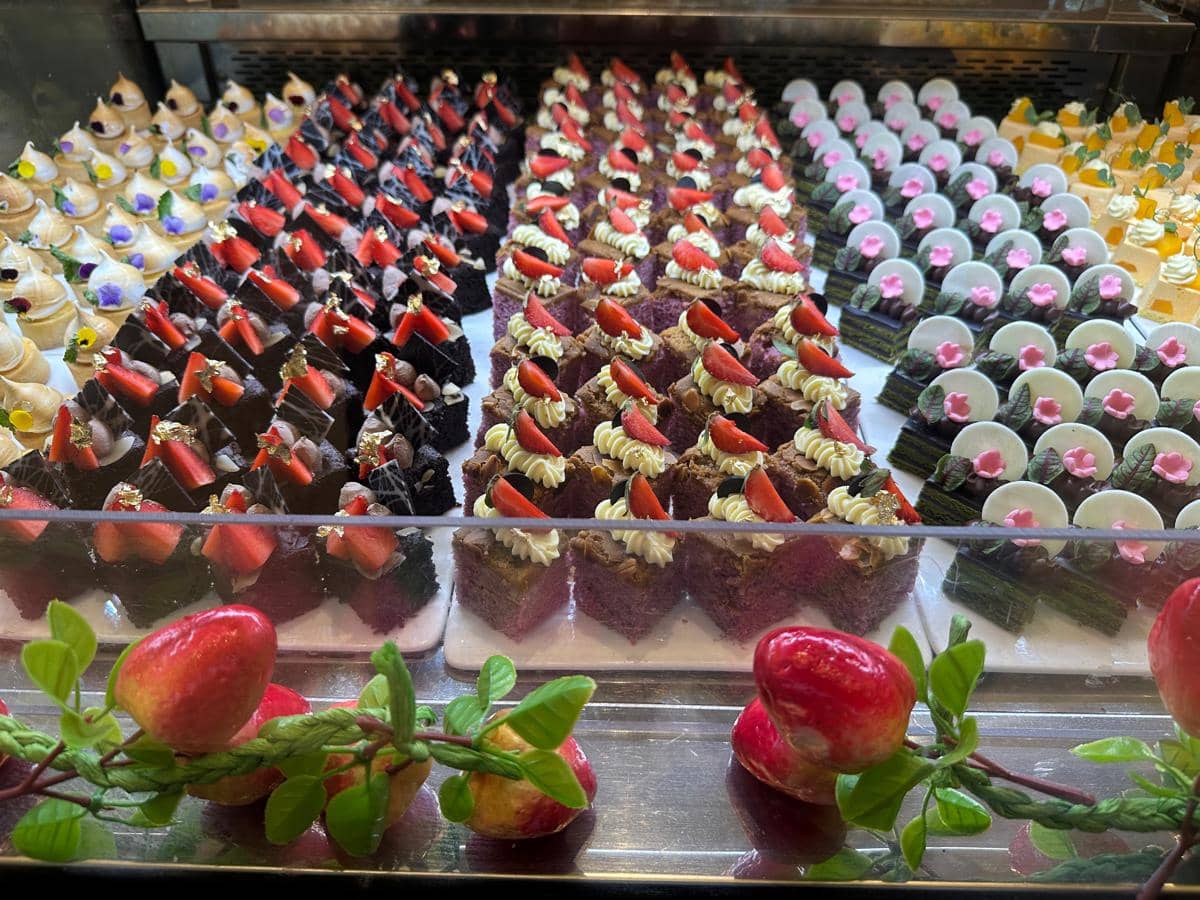 WhatsApp Image 2026-02-21 at 11.15.46 AM (3).jpeg