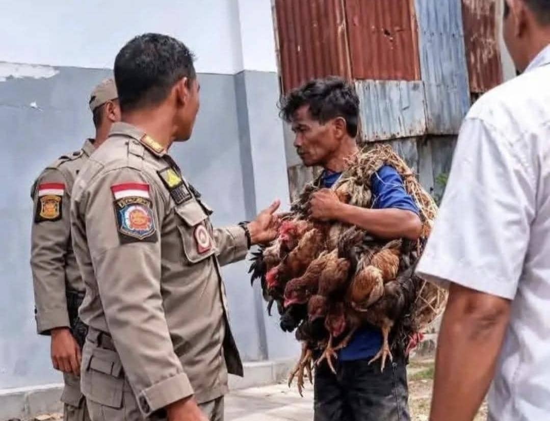 Viral Pedagang Sayur dan Ayam Ditertibkan, Pemkab SBD Beri Penjelasan 