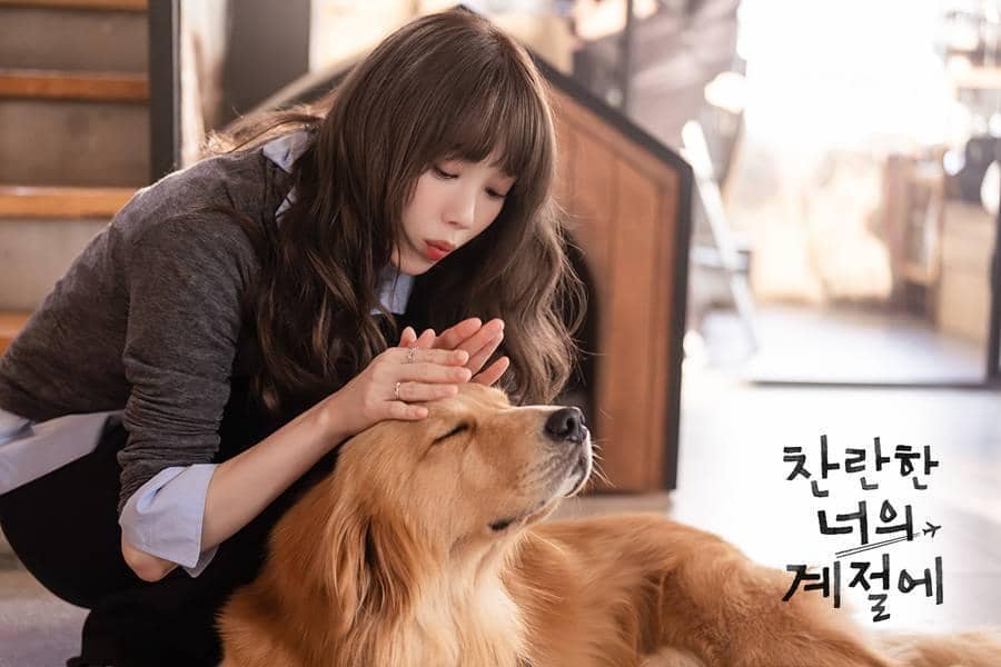 Cuplikan drama Korea In Your Radiant Season