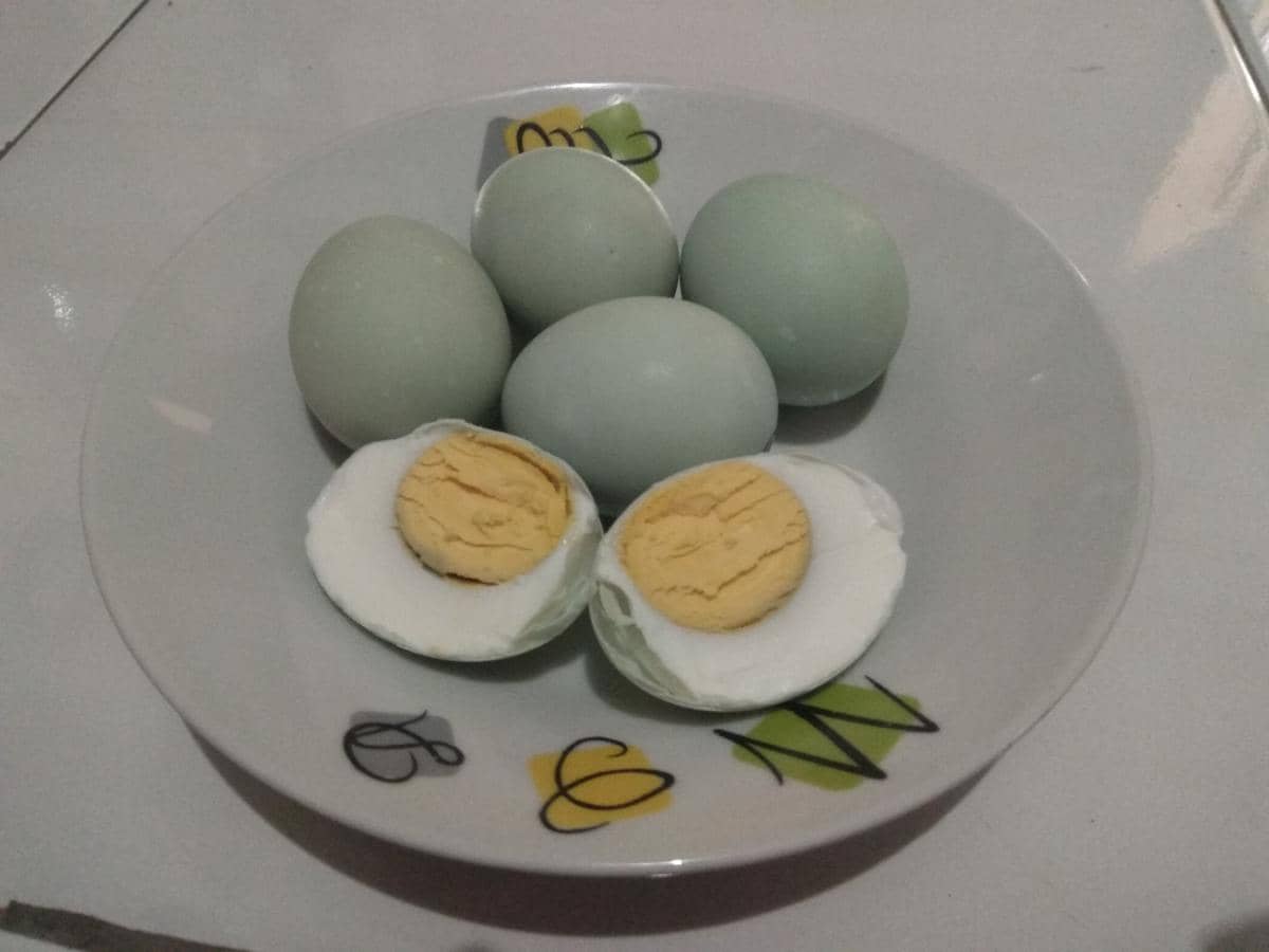 ilustrasi telur asin