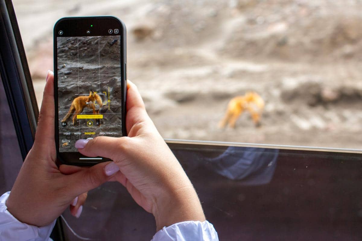 ilustrasi main HP saat mudik