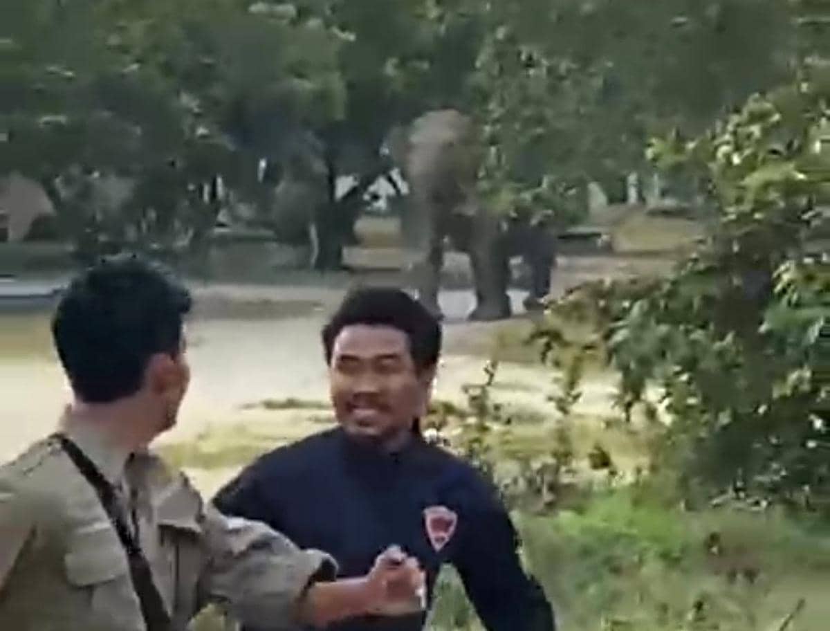 11 Gajah Liar Masuk Ke Mess Security PT Arara Abadi di Riau