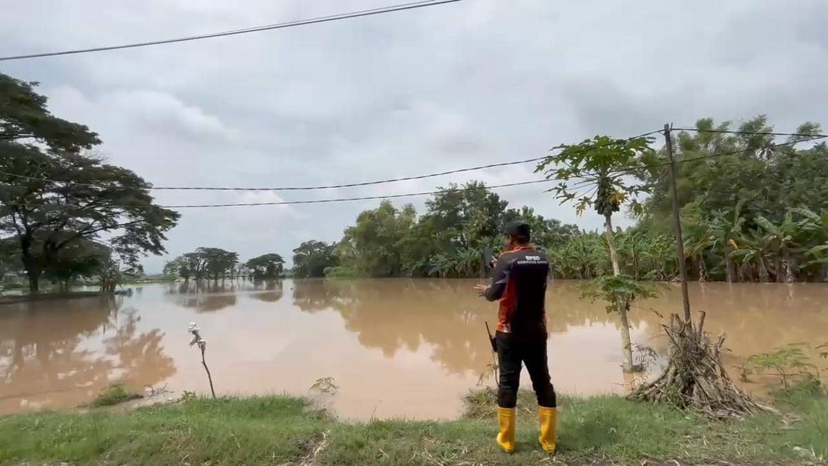 Desa Warurejo, Desa Babadan, Dusun Kasreman di Desa Balerejo, serta Dusun Blawong di Desa Gading di Kecamatan Balerejo Madiun terendam banjir. IDN Times/Riyanto.