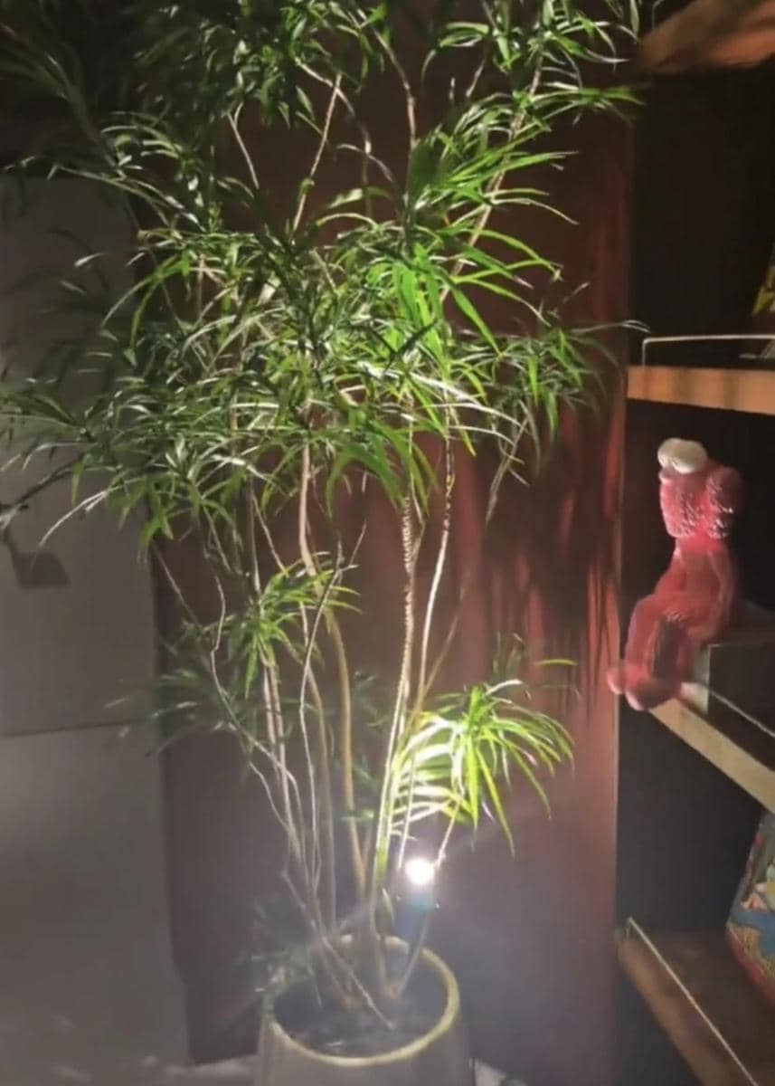 potret rumah baru V BTS 