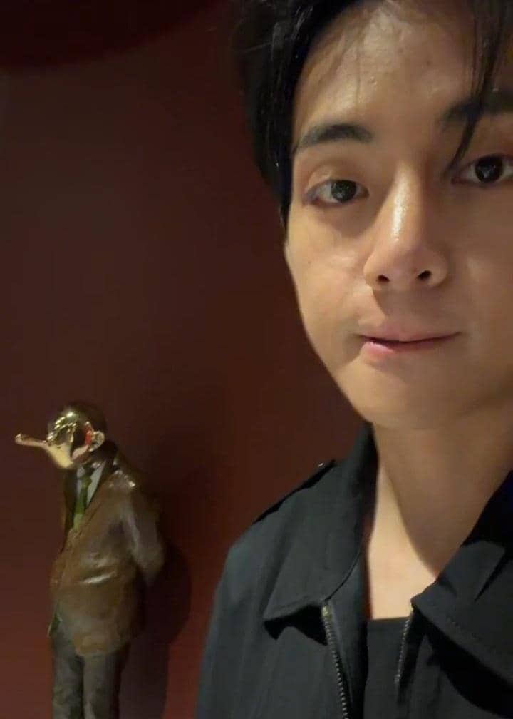 potret rumah baru V BTS 