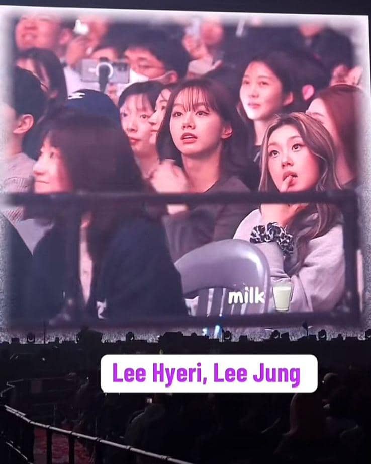 potret Lee Hyeri dan Lee Jung